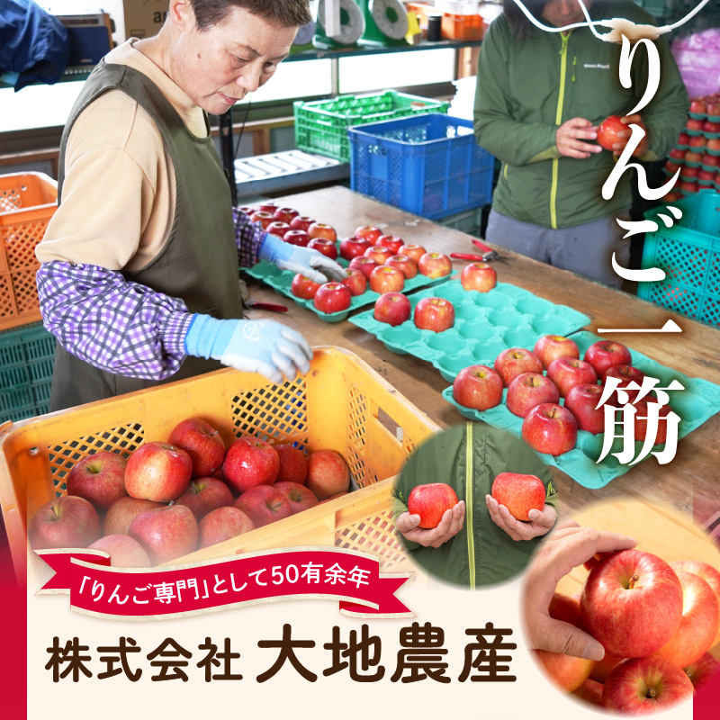 《先行受付》【2027年1月発送予定】 サンふじ約5kg・秀品【大江町産・山形りんご・大地農産】