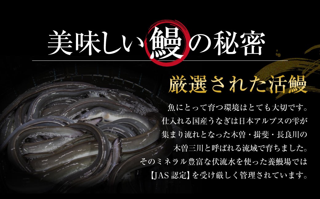 王鉄興業 木曽三川うなぎ長焼きセット 130g×5枚 （計650g）