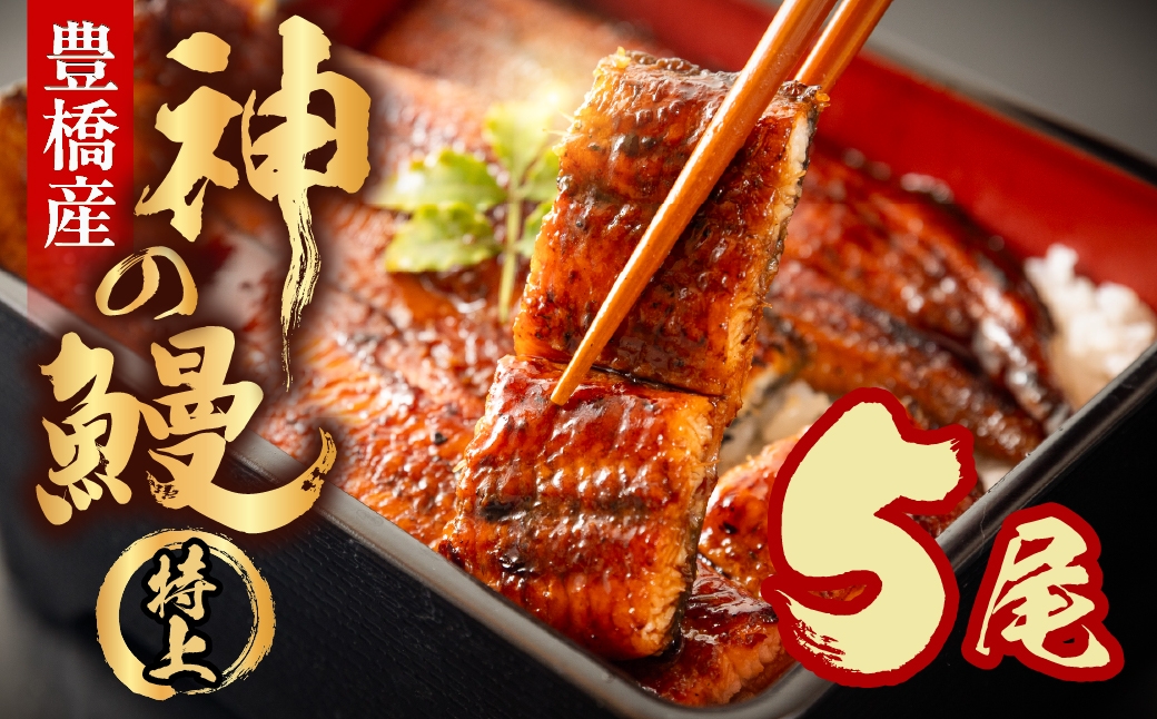 
                  うなぎの新ブランド、開幕。『神の鰻』5尾 国産 特上 選べる お届け時期 鰻 うなぎ unagi ウナギ 蒲焼 長蒲焼 国産うなぎ 上 特上 贈答 ギフト お歳暮 プレゼント お祝い 誕生日 土用の丑の日 愛知県 豊橋市
                