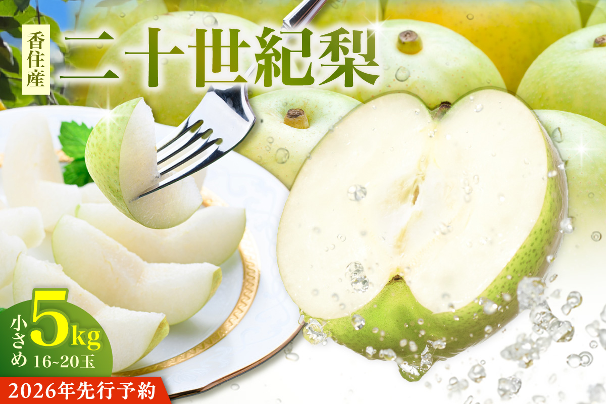 2026年産 先行予約【梨 20世紀梨 香住梨 5kg 小さめ（1玉250g～300gを16～20玉）】8月下旬～9月中旬までにお届け  二十世紀梨  小玉 シャキシャキ 甘味 瑞々しさ 香住梨 フルーツ 果物 贈答品 ギフト なし ナシ 和梨 青梨 大人気 おすすめ ランキング 兵庫県 香美町 香住 JAたじま 16000円 12-09