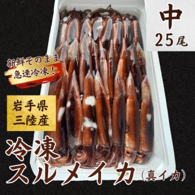 ふるさと納税 普代村 冷凍スルメイカ25尾入り 鮮度抜群!急速冷凍!
