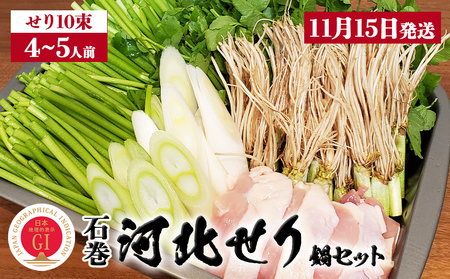 【11月15日発送】せり鍋 セット 4-5人前 せり 長ねぎ パックご飯 スープ 鶏肉 セリ セリ鍋 河北せり 野菜 鍋