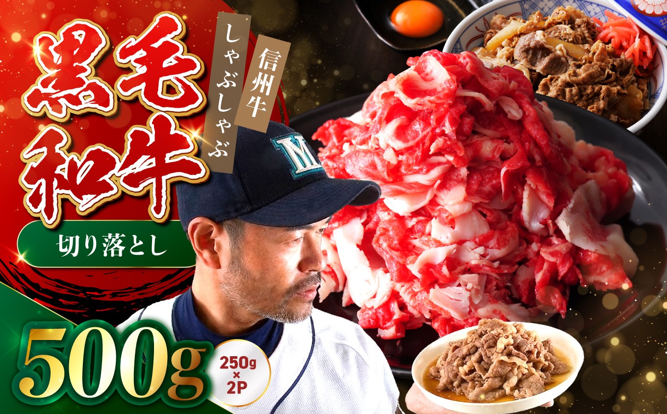 
                  たかどや牧場産 黒毛和牛 信州牛 切り落とし 500g ( 250g × 2パック ) | 肉 牛肉 黒毛和牛 信州牛 切り落とし モモ ウデ しゃぶしゃぶ 長野県 飯田市 信州
                