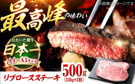 おおいた和牛　リブロースステーキ 500g(250g×2枚) 日田市 / 株式会社OTOGINO [AREF129]