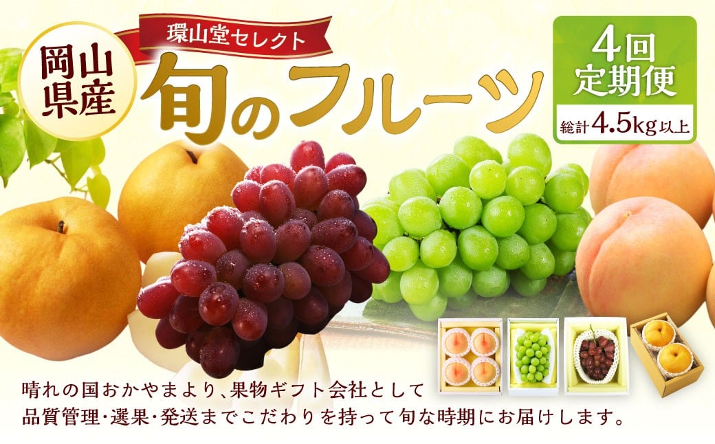 
            【4回定期便】 フルーツ 2026年 先行予約 4回お届け便！ 環山堂セレクト 晴れの国 おかやま より 果物 を旬な時期に4回に分けてお届け！ 【2026年7月上旬～12月下旬 発送予定】 岡山県産 桃 もも 葡萄 ぶどう 梨 なし 果物 お取り寄せ 贈り物 ギフト 国産
          