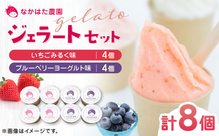 【限定数量】熊本県産 いちご ブルーベリー 食べ比べ ジェラートセット 計8個 ( 2種 × 各4個 ) アイス カップ 熊本 山都町 冷凍【なかはた農園】[YBI025]