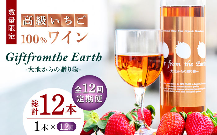 【12回定期便】【数量限定】高級 いちご 100％ワイン Giftfromthe Earth -大地からの贈り物- オーガニック【伊藤農園】 有機 お酒 ワイン オーガニックワイン  [ZBB020]