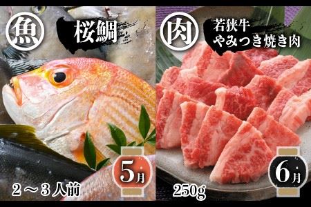 【先行予約】【6ヶ月連続お届け】 若狭牛＆旬の鮮魚 お手軽定期便 ～お肉のプロと魚のプロがコラボ～ 【2025年3月上旬以降順次発送予定】 [G-2205]