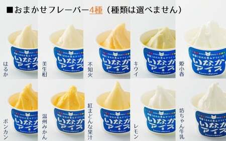 愛媛のご当地アイスセット（9種×2個 計18個入）｜いなかアイス アイス アイスクリーム ジェラート スイーツ 季節 厳選 紅まどんな レモン 姫小春 坊ちゃん牛乳 キウイ 温州みかん 不知火 ポンカ