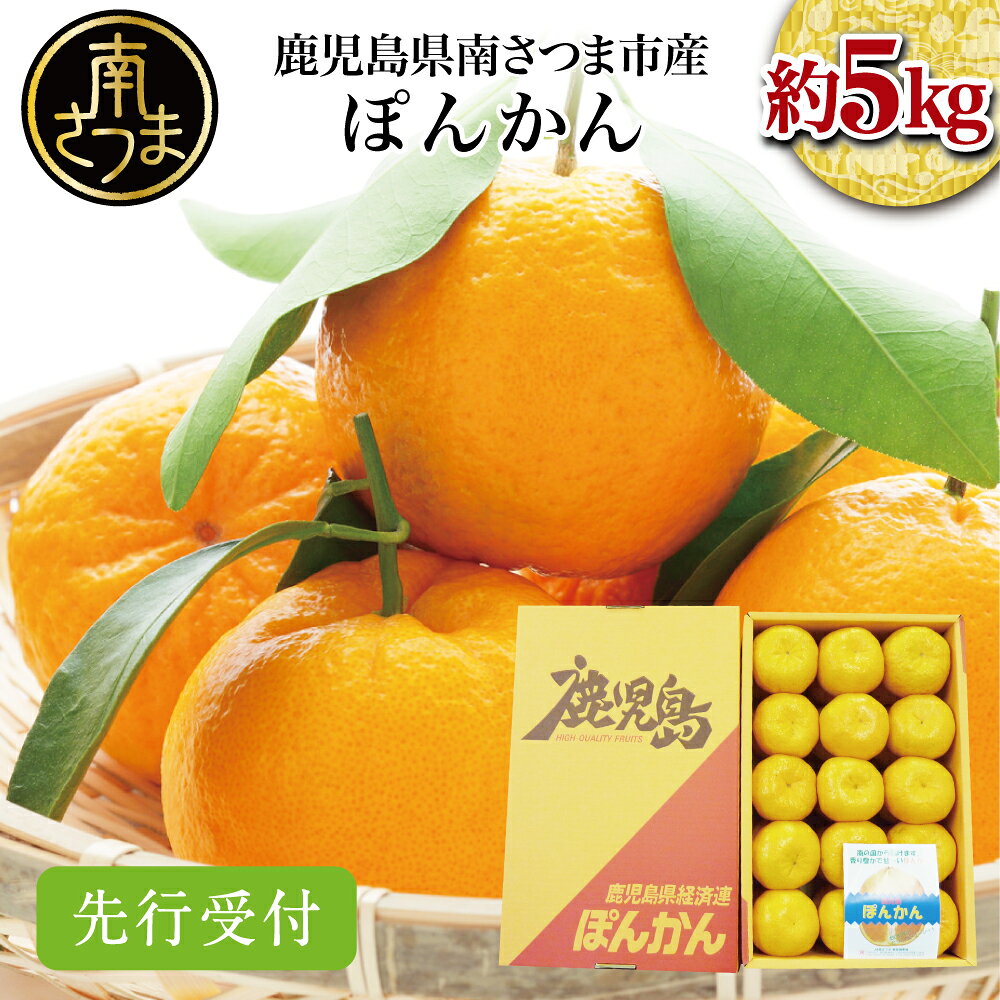 【ふるさと納税】鹿児島県産ぽんかん 約5kg ★2027年1月上旬発送開始★≪ 数量限定≫先行受付 先行予約 みかん 柑橘 フルーツ くだもの 果物 果実 甘味 ジューシー 旬 品種 常温 南さつま市 国産 国内産 JA南さつま 送料無料