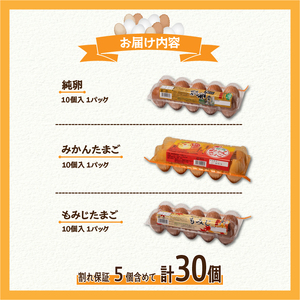  卵 3種食べ比べセット 計30個  ※割れ保証5個含む 卵 【VEG092】