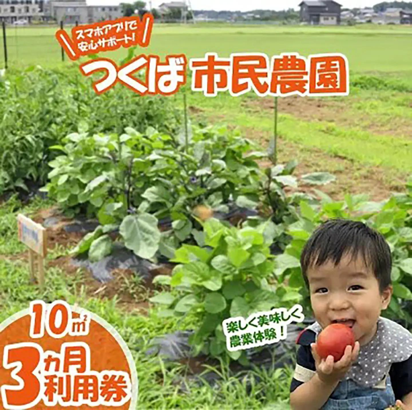 市民農園 ハルファーム 利用券 (10㎡ 3ヵ月分)【農園】