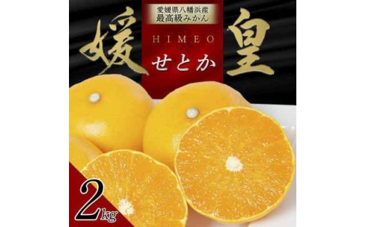 【先行受付】 最高級みかん 媛皇 せとか 2kg 愛媛県 八幡浜市 西宇和地区 柑橘の女王＜C25-307＞【1713682】 YWTAP248