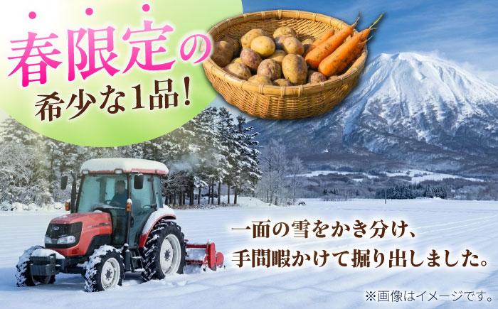 【2027年3月下旬以降順次発送】雪の下にんじんと越冬じゃがいもセット  計15kg（とうや）|  野菜セット 野菜 セット にんじん じゃがいも  先行予約 | 道の駅 真狩フラワーセンター [BPAM038]