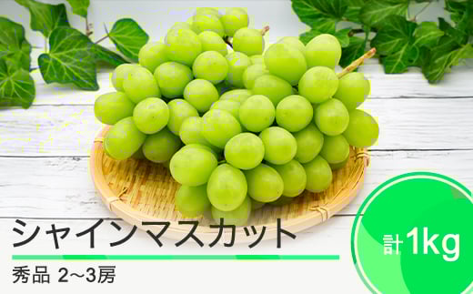 先行予約 シャインマスカット 合わせて1kg 2~3房 山形県産 2025年度産 令和7年 フルーツ 果実 送料無料 ry-busmx1000