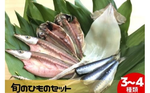 干物 旬の魚 3～4種  国産 ひもの セット