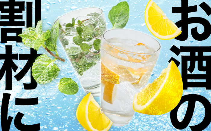 炭酸水 龍馬POWER SODA 500ml×24本 炭酸水 水 飲料水 みず たんさん ソーダ 割り材  定期便 日田