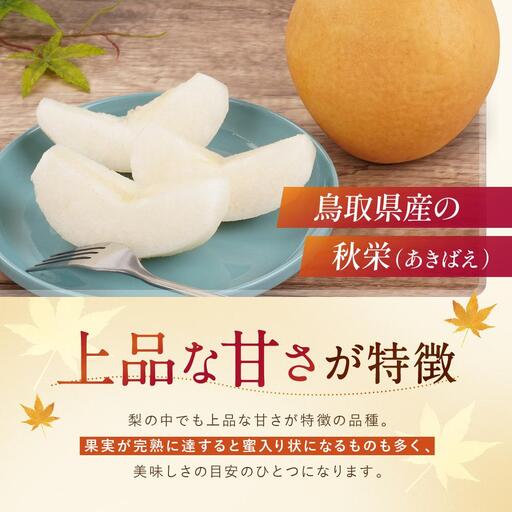 数量限定 鳥取県産梨 秋栄（あきばえ） 5kg（12～16玉）|梨