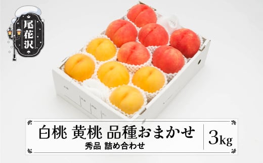 先行予約 もも 白桃 有袋黄桃 秀品 詰め合わせ 品種おまかせ 3kg  化粧箱入 フルーツ 果物 アソート 2026年産 令和8年産 山形県産 ns-mohot3-b