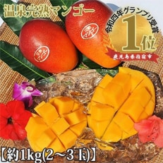 【2024年 発送】鹿児島県産 温泉完熟マンゴー約1kg(2～3玉)(C-058)