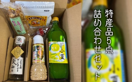 福袋 特産品5品詰め合わせセット（調味料 コーヒー粉 柑橘飲料 お菓子など）小夏ドリンク 乳酸菌 ドレッシング ゴマ コーヒー 足摺ブレンド だし醤油 亀おこし ギフト プレゼント【R00453】