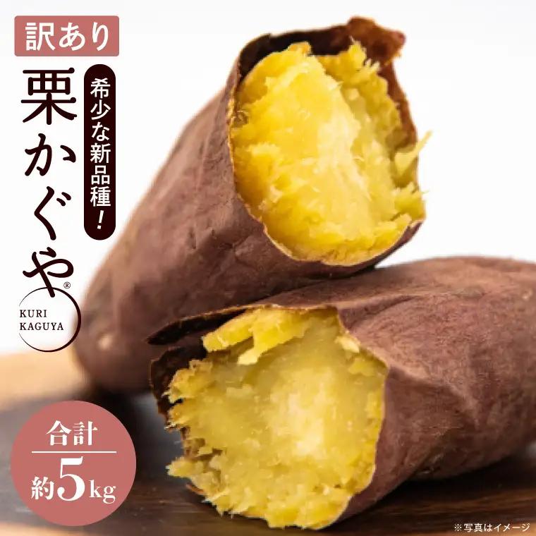 【訳あり】行方かんしょ「行方の黄福（栗かぐや）」さつまいも約5kg（洗い・不揃い・C品）｜茨城県 行方市 ふるさと納税 芋 野菜 栗かぐや(AE-150)