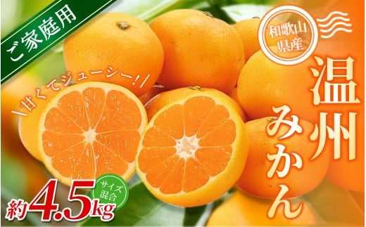 【家庭用】 森本農園の手選別 みかん 約4.5kg 和歌山県産 2S~2Lサイズ混合 【北海道・沖縄・離島配送不可】【2025年11月上旬～2026年2月中旬ごろに順次発送】【RN7】