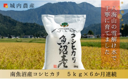 
                  【令和８年産新米予約】【お米定期便/全６回】南魚沼産コシヒカリ　白米５ｋｇ＜５割減農薬栽培米＞ 城内農産【定期便 銘柄米 ブランド米 精米 こしひかり コシヒカリ 魚沼産 新潟米】【2026年9月下旬から1ヶ月以内に順次発送予定】
                