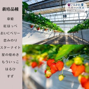 【2025年先行受付】5～6品種食べ放題!いちご狩り体験2名様ご招待!【1542971】