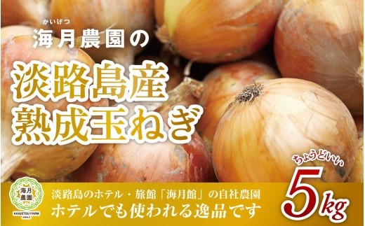 海月館 自社農場栽培！淡路島産 玉ねぎ