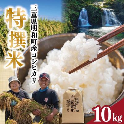 ふるさと納税 明和町 明和町産こしひかり 明和つじ農園特選米 10kg tn2