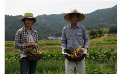 ファームビジット（収穫体験）とランチ（1名様分）[200]