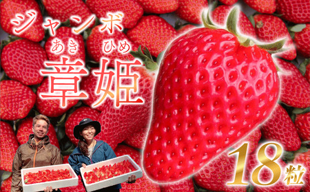 苺 いちご章姫 先行予約  900g 章姫 苺