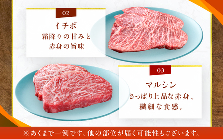 博多和牛 A5ランク 希少部位 赤身ステーキ 200g×4 広川町 / KRAZY×MEAT[AFCH013]