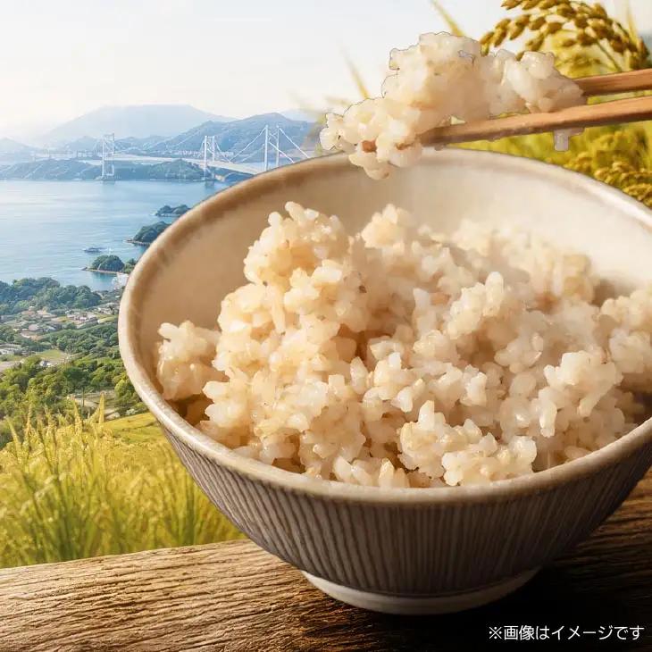 【定期便】令和8年産米　淡路島産キヌヒカリ　玄米10kg《12回コース》