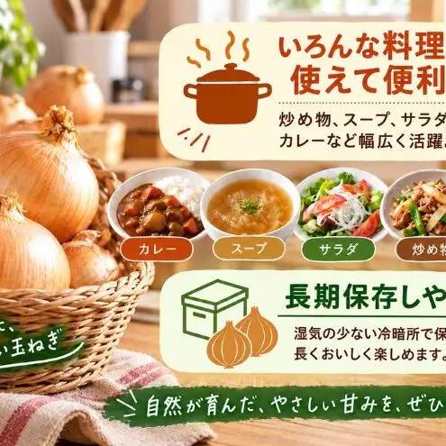 玉ねぎ 野菜 北海道産 玉ねぎ【約2kg M〜Lサイズ】
