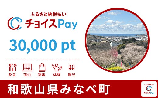 
                  みなべ町チョイスPay 30,000pt【会員限定のお礼の品】
                