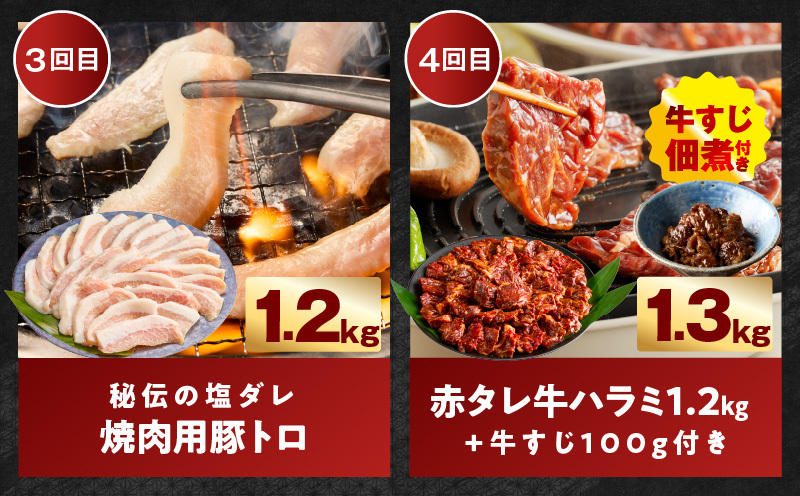 わくわくお肉定期便 全6回 合計7kg【ハラミ 牛たん 豚トロ 焼肉 BBQ やきにく ファミリー 定期便】 099Z575_イメージ4