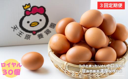 【定期便】3回定期 【天王原のたまご】 ロイヤル卵 30個入り  定期便 たまご 卵