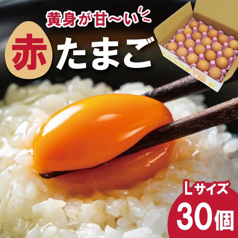 新鮮たまご 赤玉 Lサイズ 30個 中村養鶏場 ny2