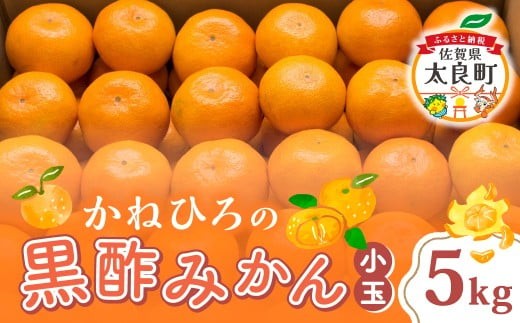 
                  かねひろの黒酢みかん（小玉） 【7営業日以内発送】【2026年10月下旬から2027年1月下旬まで発送予定】 新鮮 黒酢 アミノ酸 みかん 蜜柑 ミカン 温州みかん 5kg 甘い 柑橘 果実 フルーツ オレンジ 人気 おすすめ 贈答 ギフト 正月 実家 産地 九州 佐賀県 太良町 L39x1
                