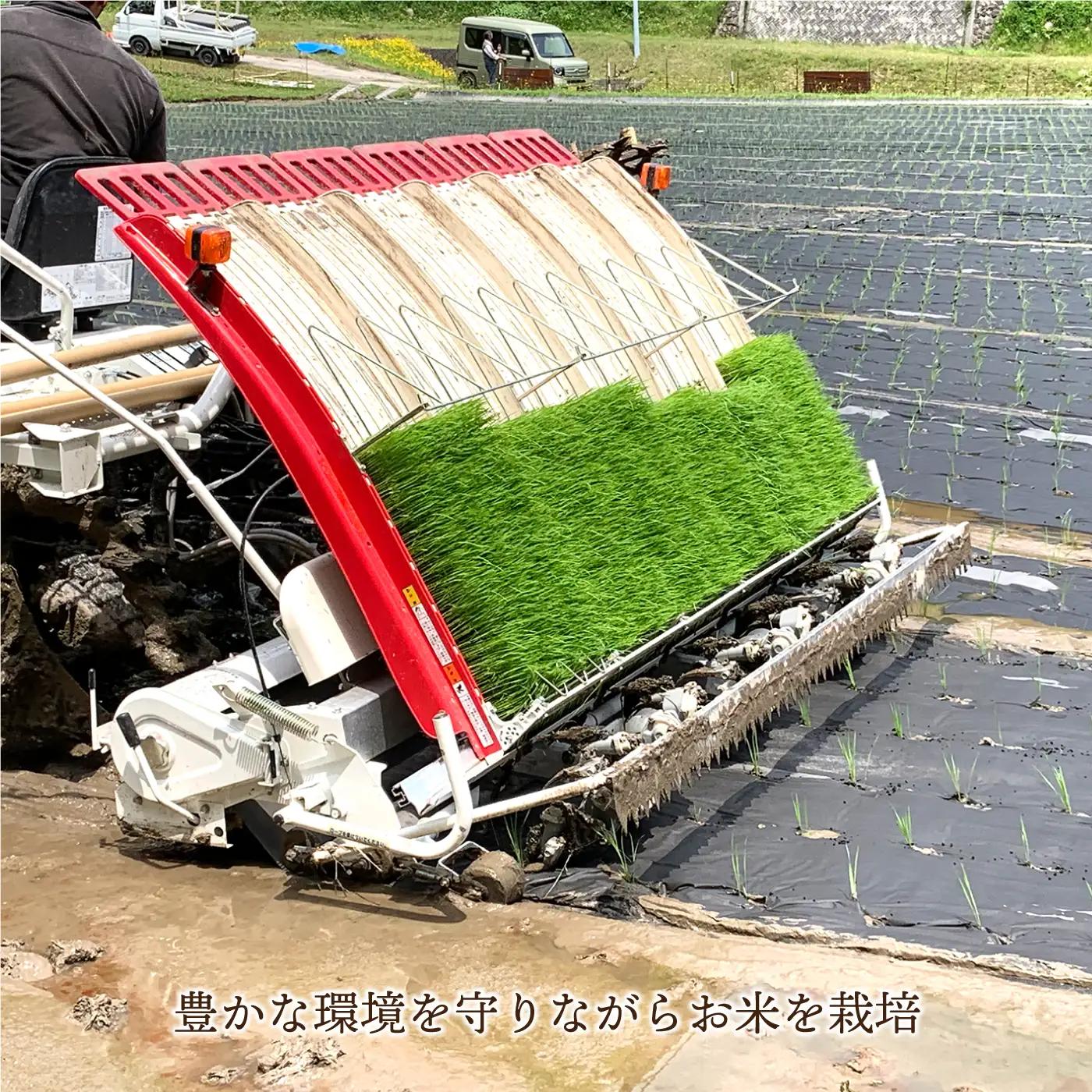 令和7年産 新米 有機JAS 有機於保地米 食べ比べ（コシヒカリ5kg・つや姫5kg）