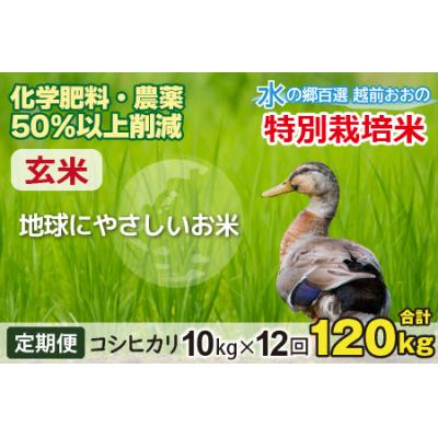 ふるさと納税 大野市 【令和7年産】【12ヶ月定期便】こしひかり 10kg × 12回 計120kg【玄米】「特別栽培米」