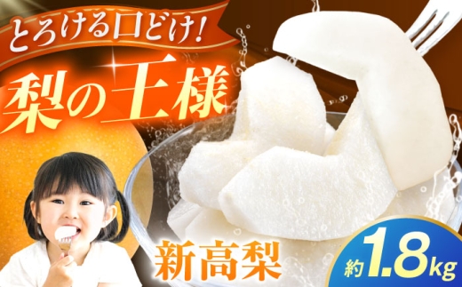 【先行予約】新高梨　約1.8kg 梨 ナシ フルーツ 果物 【日本フルーツ株式会社】 [ZFJ063]
