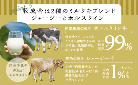 飛騨の牛乳屋こだわり、ヨーグルトバラエティーセット[Q1057]