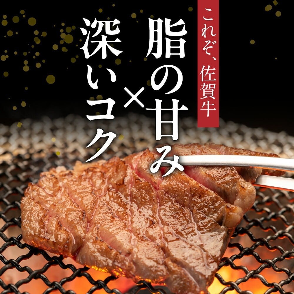 A5 A4 佐賀牛 肩ロース 焼肉用 500g J370
