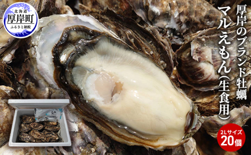 牡蠣 厚岸のブランド牡蠣 マルえもん 2Lサイズ 20個 生食用 魚貝類 海鮮 海のミルク 国産 生食用殻付き牡蠣 まろやか クリーミー 食べやすい品種 海の香り 牡蠣の酒蒸し 焼き牡蠣
