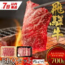 【ふるさと納税】【7営業日以内に発送】 飛騨牛 BBQセット (カルビ300g＋もも・カタ焼肉用400g) 計700g A5 A4 国産 牛 冷凍 和牛 牛肉 カルビ もも モモ カタ 肩 かた 豪華 ギフト 贈答 にく お肉 肉 東白川村 岐阜 飛騨 贅沢 霜降り 赤身 肉のひぐち 20000円 二万円