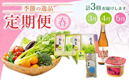 C1 【3回定期便】季節の逸品 春