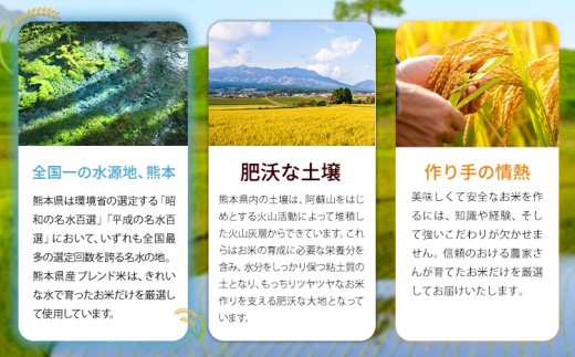【12ヶ月定期便】白米 熊本県産 ブレンド米 肥後のめぐみ米 10kg 熊本県産 ふるさと納税 精米 米 こめ ふるさとのうぜい コメ お米 おこめ《お申込み翌月から出荷》